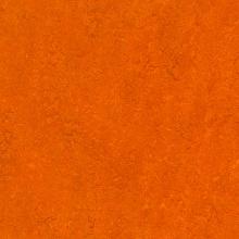 Линолеум Marmoleum Real 3126 Forbo