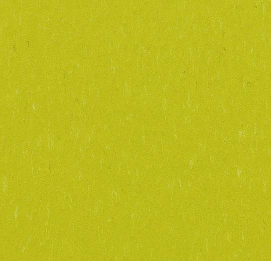 Линолеум Forbo Marmoleum Solid Piano 3646/364635 young grass